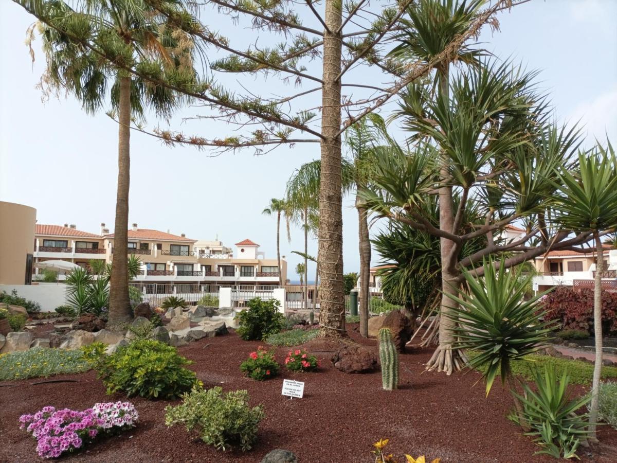 Апартаменты Estudio En Tenerife Con Piscina / Study Flat With Pool Сан Мигель Экстерьер фото